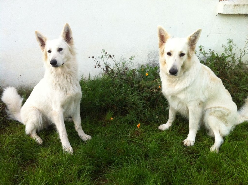 Esia et Hayo