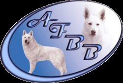 Des Bergers De L'Aurière - Berger Blanc Suisse - Portée née le 01/12/2014